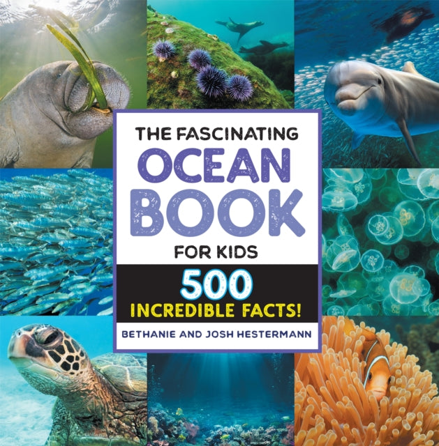 Fascinating Ocean Book For Kids