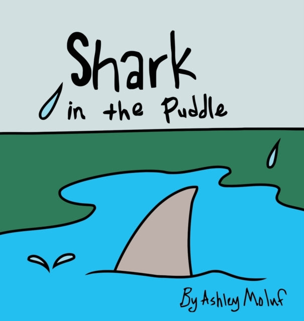 Shark In The Puddle