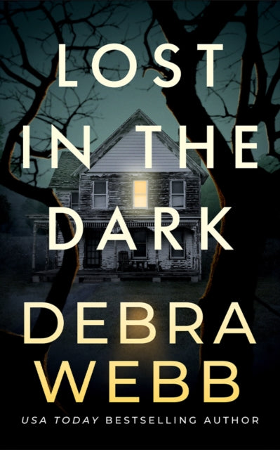 Lost In The Dark By Webb, Debra