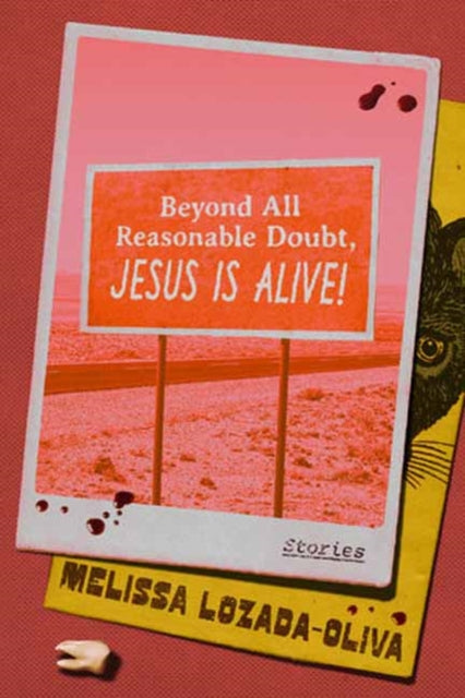 Beyond All Reasonable Doubt Jesus Is Ali