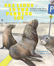 Sea Lions In The Parking Lot