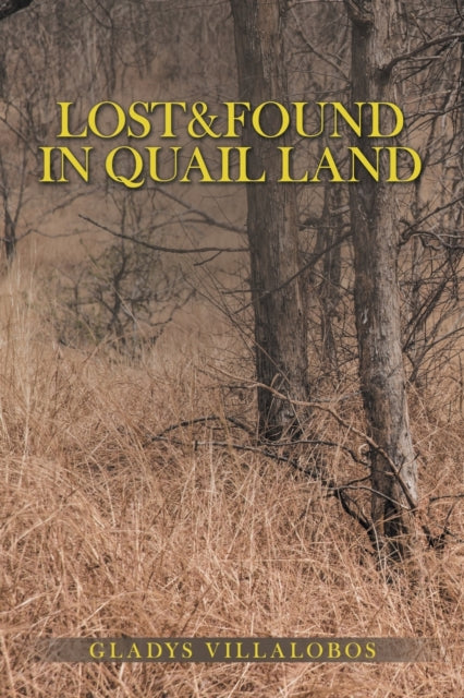 Lost Found In Quail Land