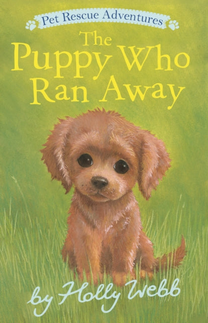 Puppy Who Ran Away By Holly Webb