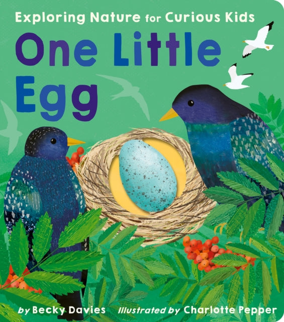 One Little Egg By Becky Davies