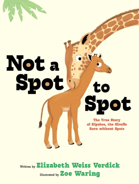 Not A Spot To Spot