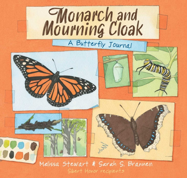 Monarch & Mourning Cloak