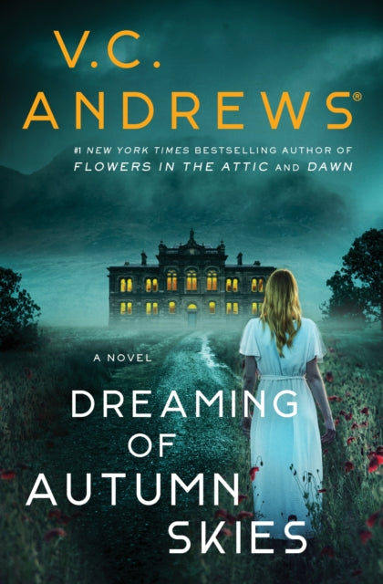 Dreaming Of Autumn Skies By Andrews, V C