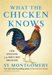 What The Chicken Knows
