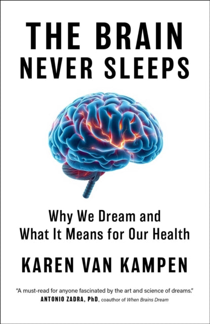 Brain Never Sleeps Ha