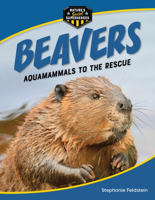 Beavers By Feldstein, Stephanie