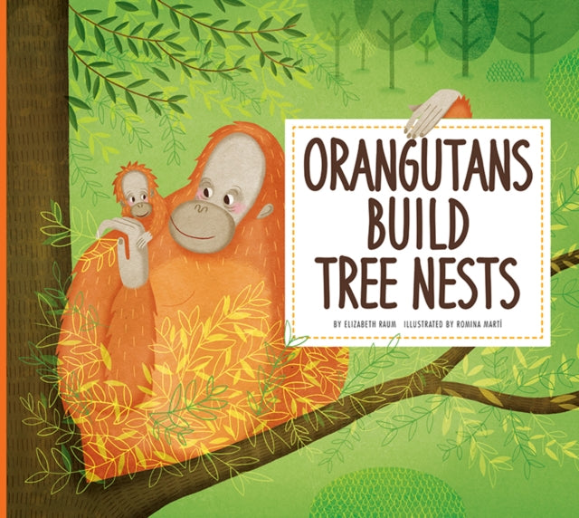 Orangutangs Build Tree Nests