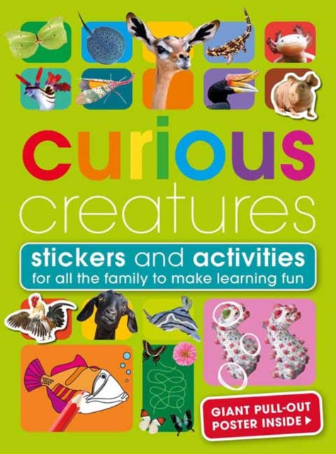 Curious Creatures Sticker Book By Genera, Anita