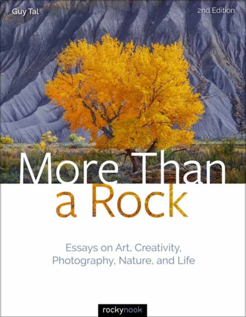 More Than A Rock