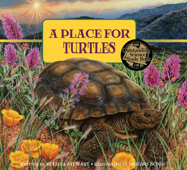Place For Turtles A By Stewart, Melissa