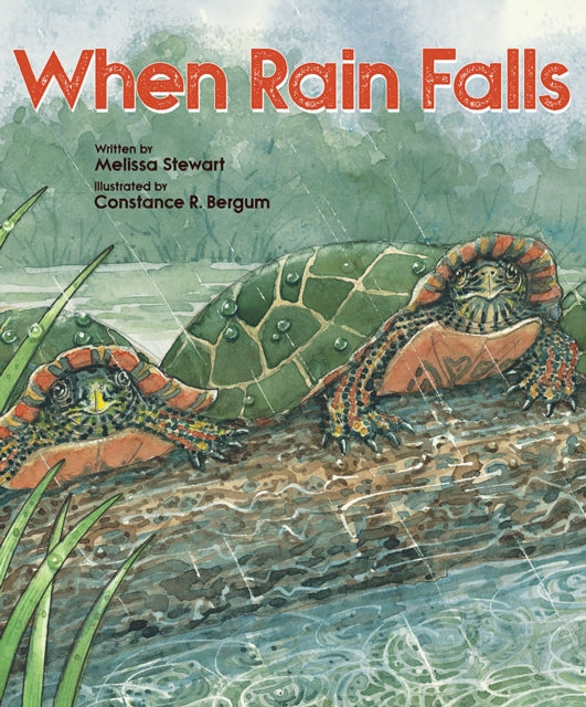 When Rain Falls By Stewart, Melissa