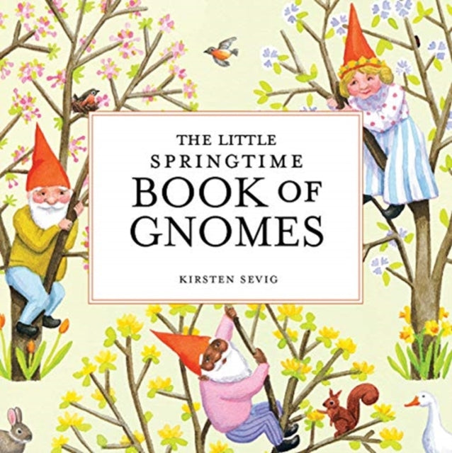 Little Springtime Book Of Gnomes By Sevig, Kirsten