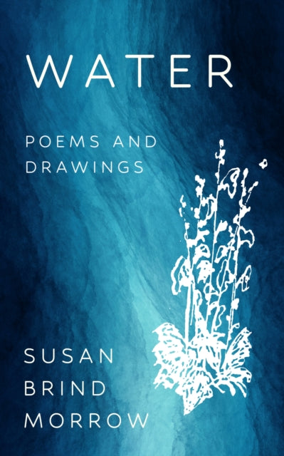 Water: Poems And Drawings By Morrow, Susan Brind