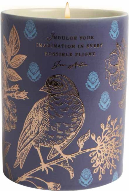 Ja Indulge Ceramic Cndl Drk Blue 85 Oz G