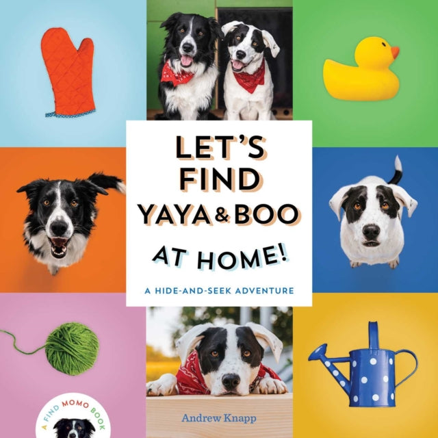Lets Find Yaya & Boo At Home