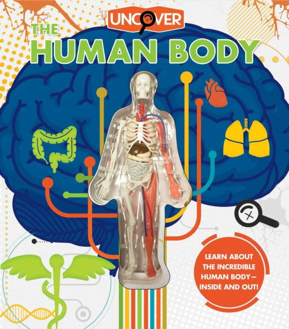 Uncover The Human Body