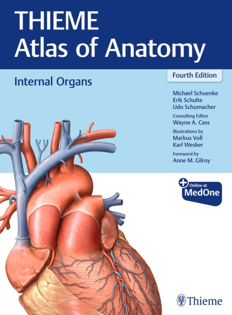 Internal Organs