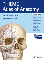 Head Neck And Neuroanatomy