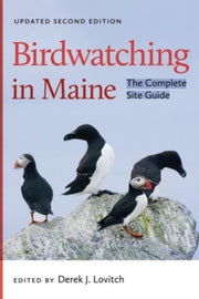 Birdwatching In Maine
