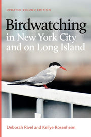 Birdwatching In New York City & Long Isl