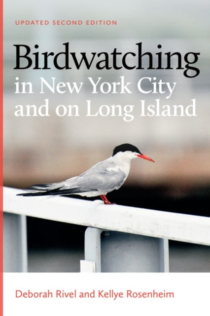 Birdwatching In New York City & Long Isl