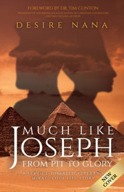 Much Like Joseph: From Pit To Glory