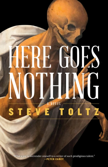 Here Goes Nothing By Toltz, Steve