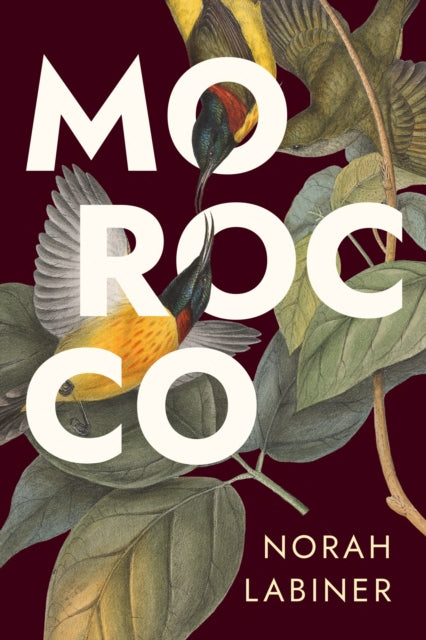 Morocco By Labiner, Norah