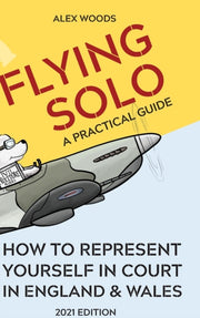 Flying Solo: How To Represent Yourself I