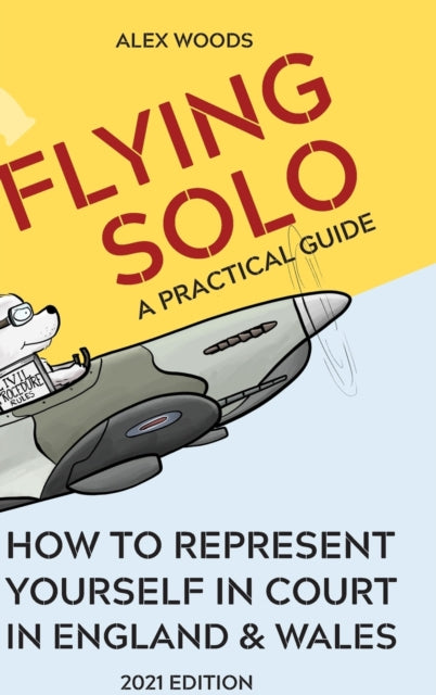 Flying Solo: How To Represent Yourself I