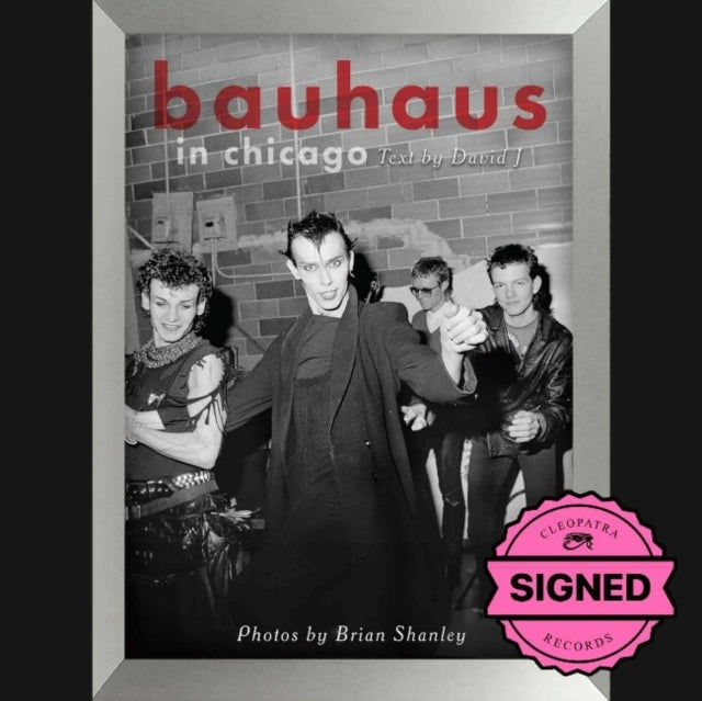 Bauhaus In Chicago By Shanley, Brian
