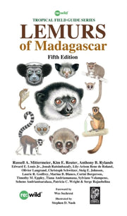 Lemurs Of Madagascar