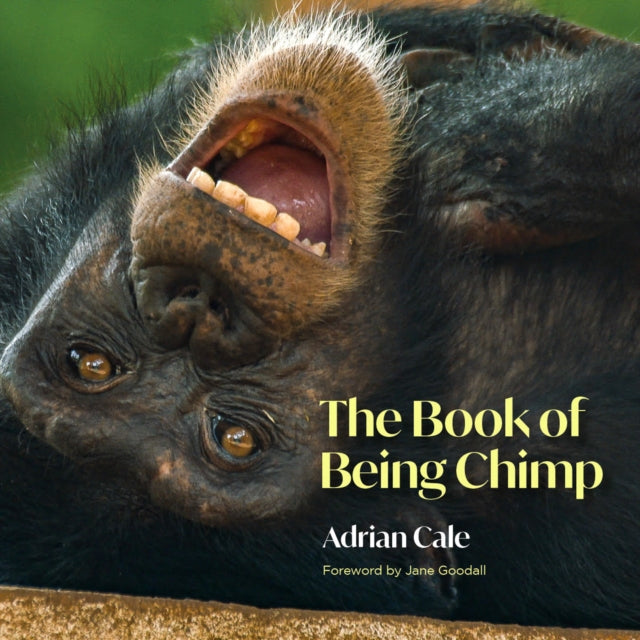 Book Of Being Chimp