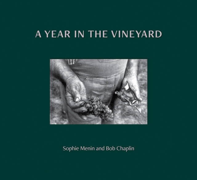 Year In The Vineyard