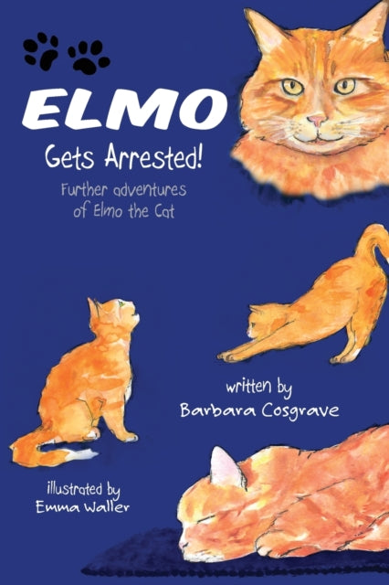 Elmo Gets Arrested!: Further Adventures