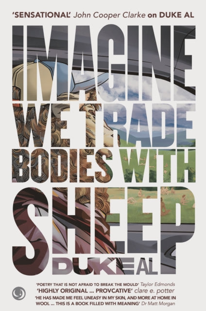 Imagine We Trade Bodies With Sheep