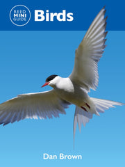 Reed Mini Guide Birds Pb