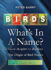 Birds Whats In A Name