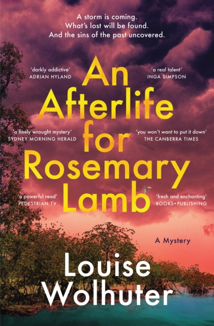 Afterlife For Rosemary Lamb