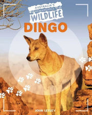 Dingo By Lesley, John