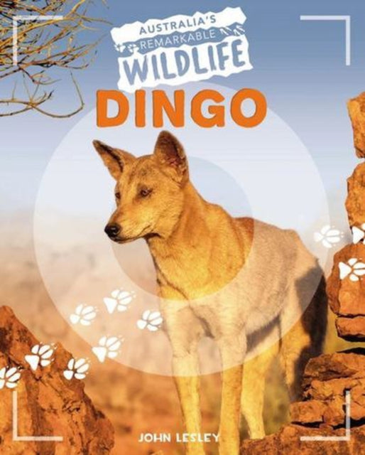 Dingo By Lesley, John
