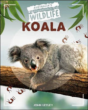 Koala By Lesley, John