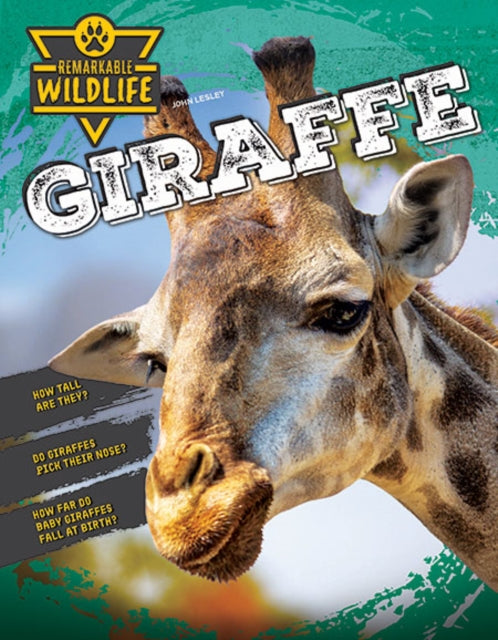 Giraffe By Lesley, John