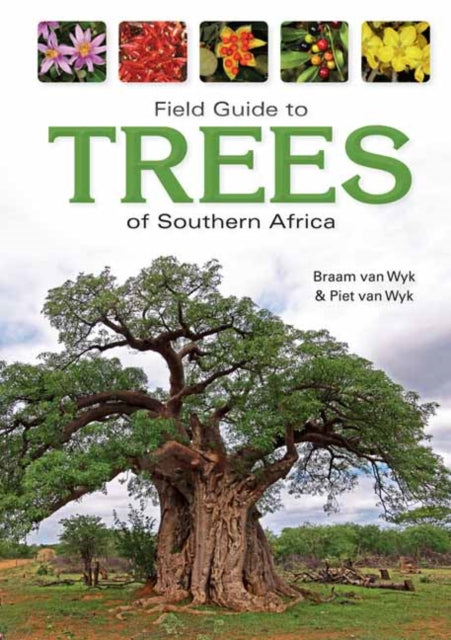 Trees Of Southern Africa By Van Wyk, Braam