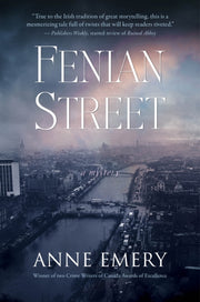 Fenian Street