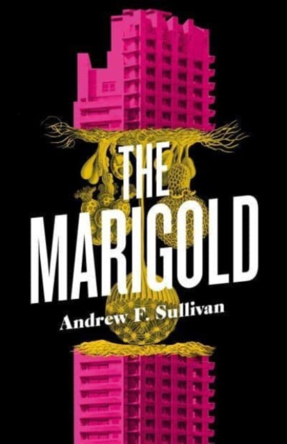Marigold The
